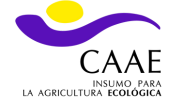 Diseño sin título (5)
