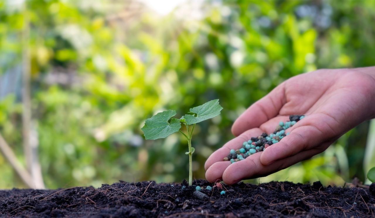 Cuaderno de Campo Digital y Fertilizantes Ecológicos